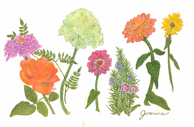 joanne-dancing-flowers